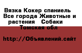 Вязка Кокер спаниель - Все города Животные и растения » Собаки   . Томская обл.